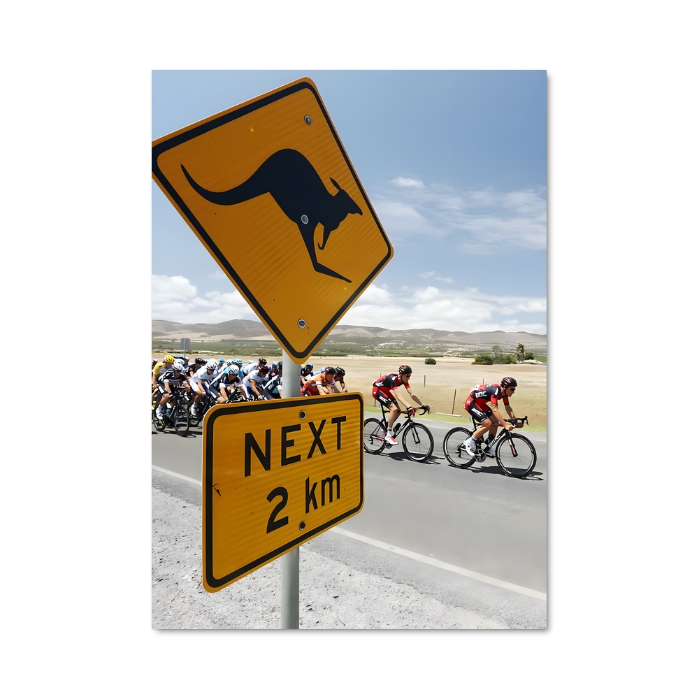 Poster Pédalées sous le Soleil – affiche Cyclisme
